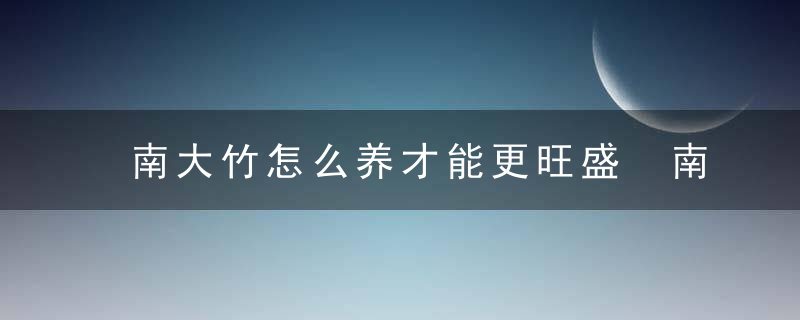 南大竹怎么养才能更旺盛 南大竹如何养才能更旺盛